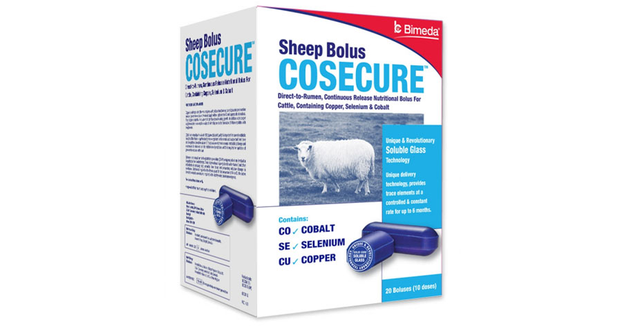 ie cosecure sheep
