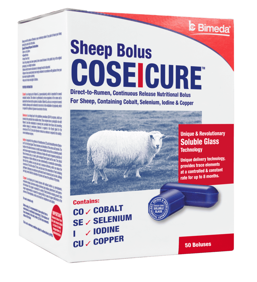 CoseIcureSheep UK