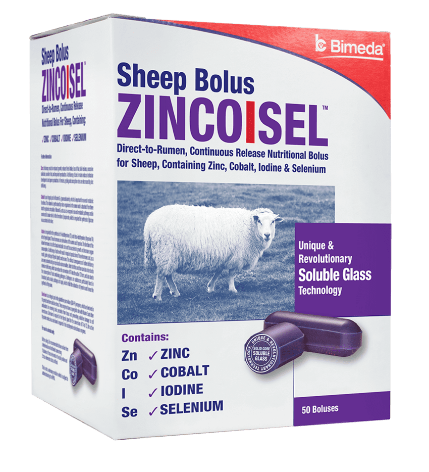 ZincoIsel