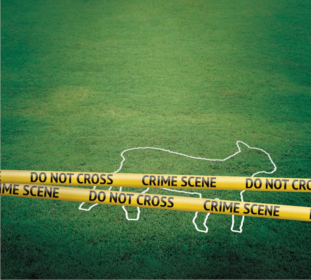 crimescene