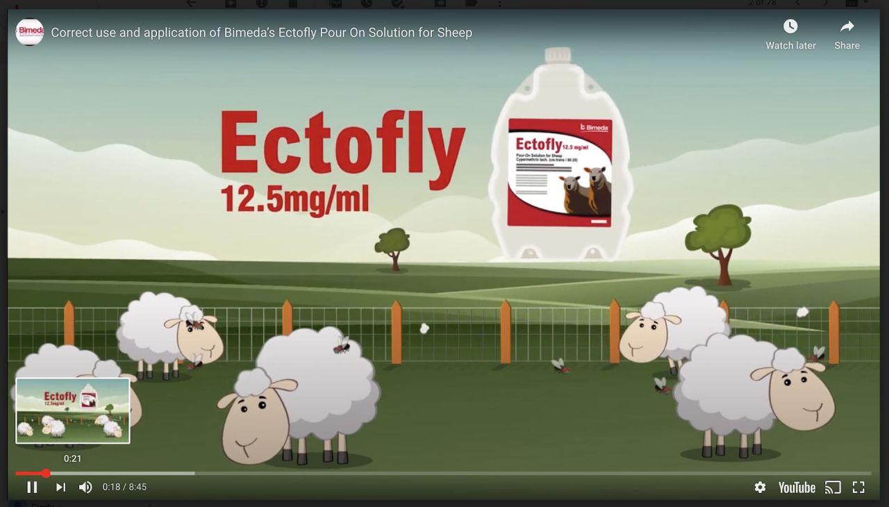 Bimeda Ireland - News - Bimeda Launches New Training Animation to Assist  With Correct Product Usage Ectofly!