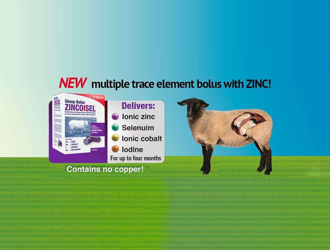 zincosel-pos_20201204-162251_1