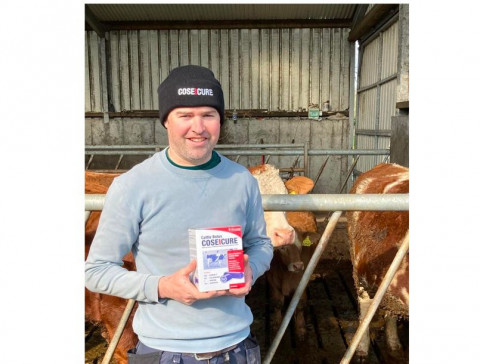 County Mayo Farmer Credits Bimeda’s CoseIcure Bolus With Addressing Herd Fertility Issues