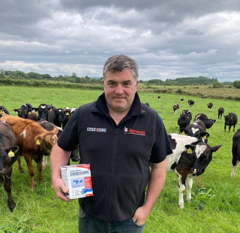 County Sligo Farmer Credits CoseIcure Cattle Bolus with Improving Herd Fertility and Health