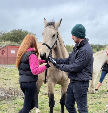 Bimeda Ireland Supports DSPCA Horse Owner Education and Worming Initiative