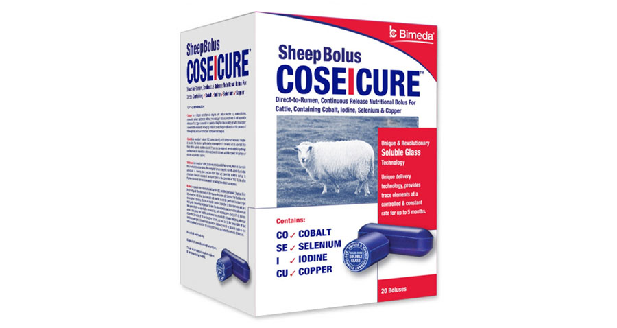 ie coseicure sheep