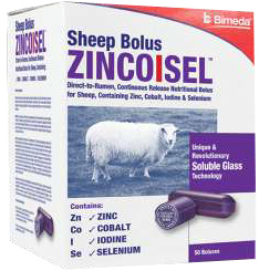 ie zincoisel sheep