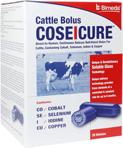 coseicure cattle