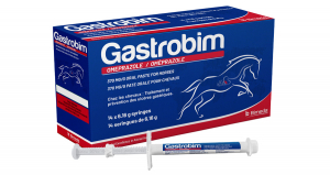 Gastrobim