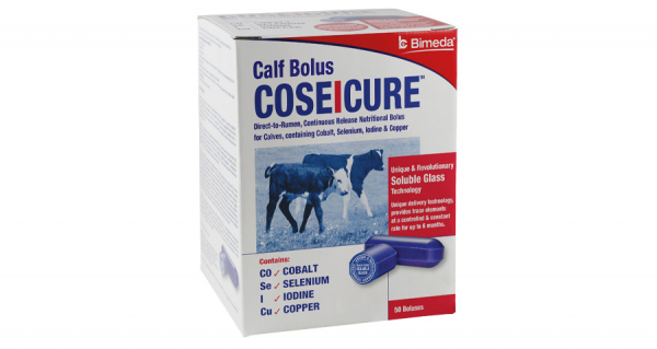 CoseIcure Calf