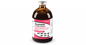 Oxytobel