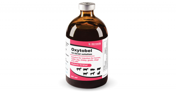 Oxytobel