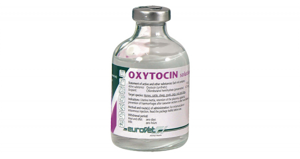 Oxytocin