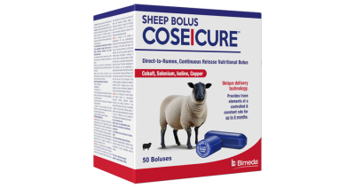 Bimeda Proudly Supports Equine Charities in Ireland